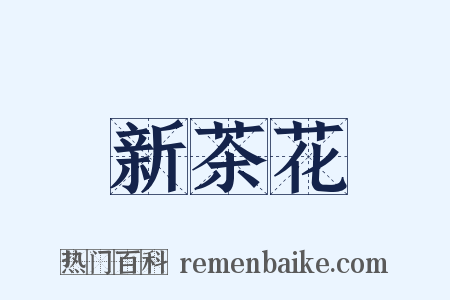 新茶花是什么意思的图片